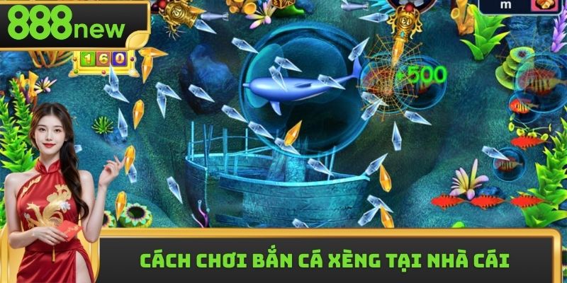 Cách chơi bắn cá xèng tại nhà cái chi tiết từ A - Z