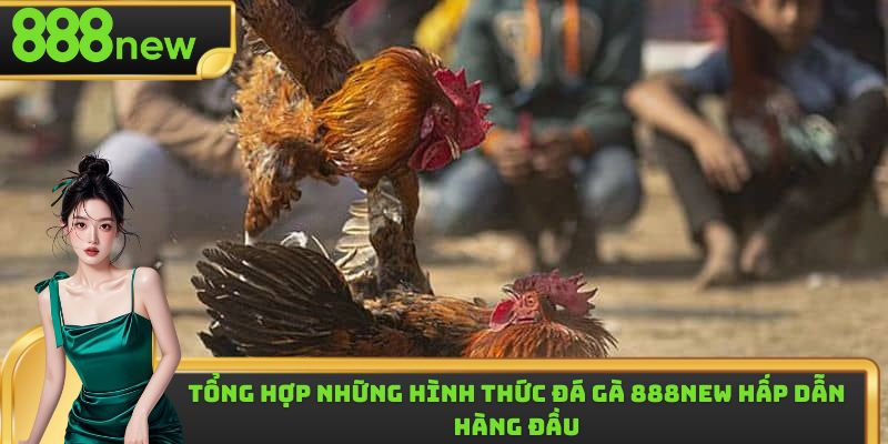 Một vài ưu điểm vô cùng nổi trội của sảnh đá gà 888new