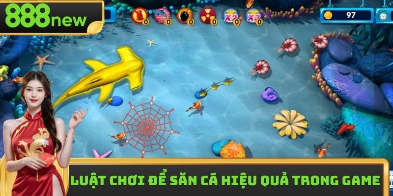 Nắm chắc luật chơi để săn cá hiệu quả trong game